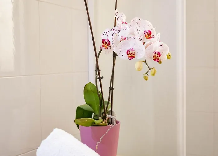 Maga House جيارديني ناكسوس